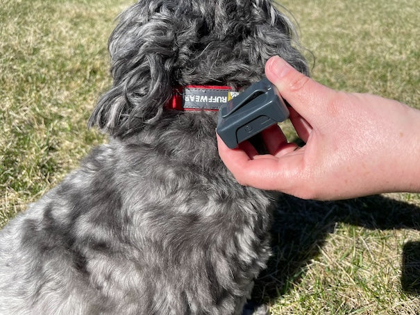 NanoGuard | Mini GPS - Rechargeable Real Time Pet Tracker - Logistimatics