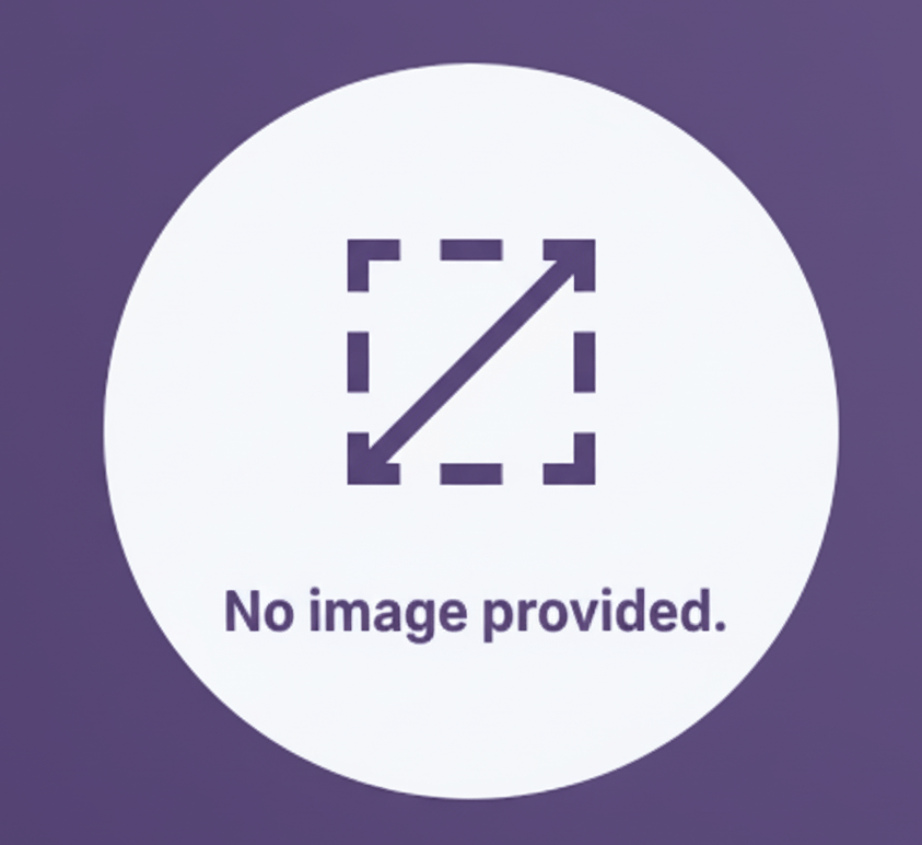 Placeholder image with text 'No image provided.' on a purple background