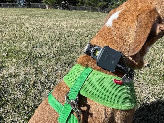 NanoGuard | Mini GPS - Rechargeable Real Time Pet Tracker - Logistimatics