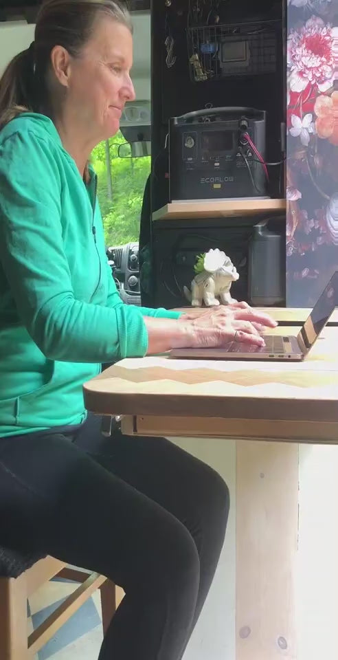  A person is shown inside a converted van in a video, explaining how GPS tracking technology can provide security and prevent theft of the van and its contents, for someone accustomed to tracking their truck.
