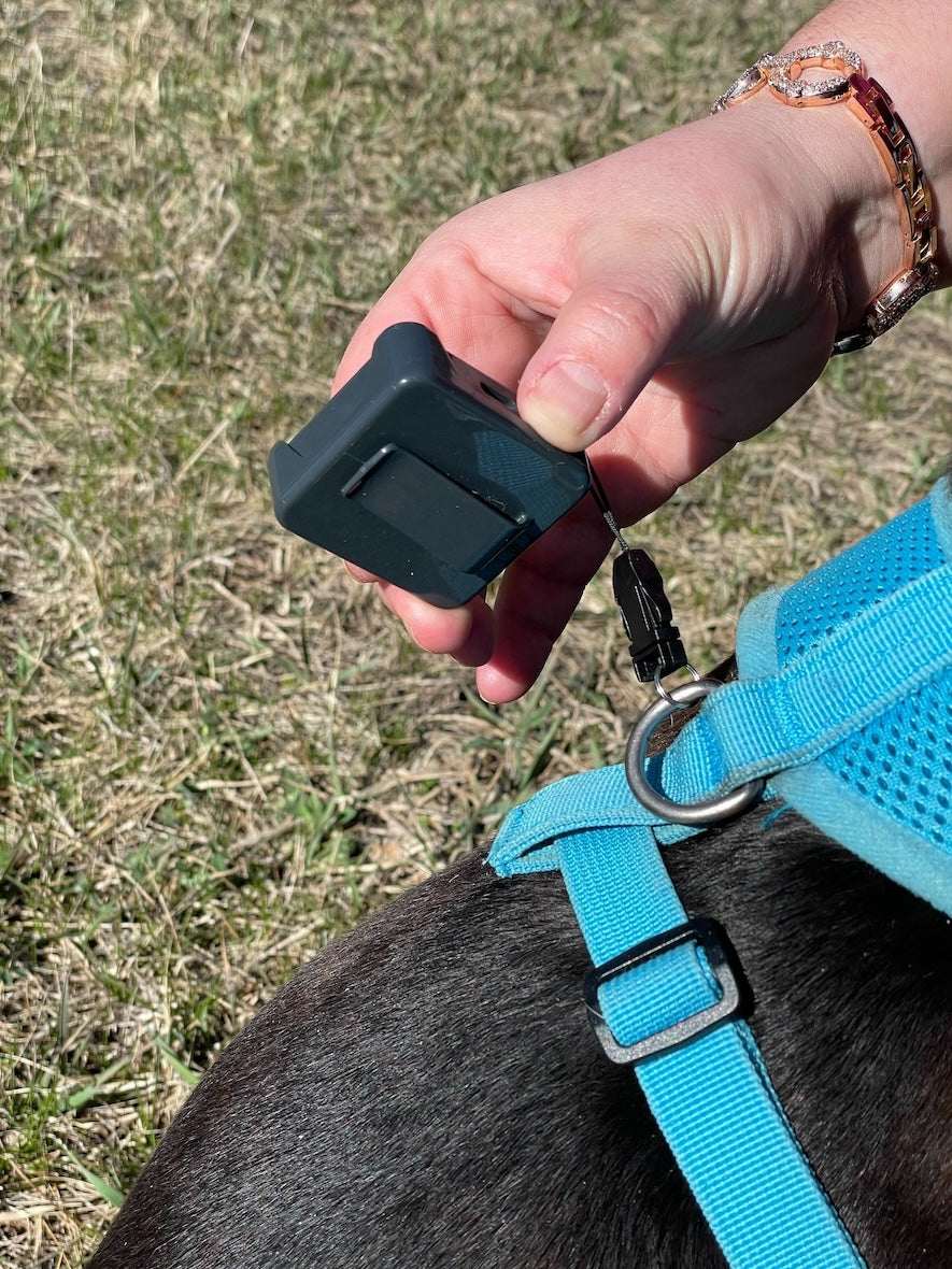 NanoGuard | Mini GPS - Rechargeable Real Time Pet Tracker - Logistimatics